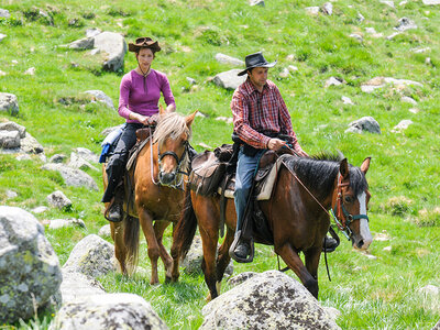 Cofanetto regalo Avventure in Trentino: 1 notte in agriturismo e passeggiata a cavallo tra i boschi