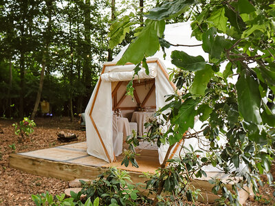 Coffret cadeau Repas gastronomique 6 plats dans une forêt privée à Braine-l'Alleud