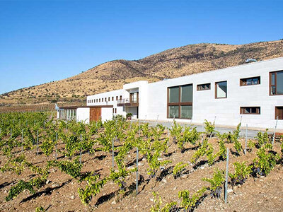 Hotel Tierras de Cebreros 4*: 1 noche, visita a bodega y pack de vinos de regalo