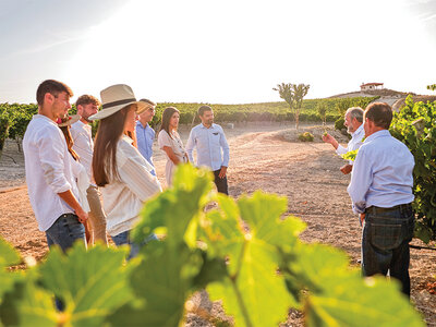 Caja regalo Entre copas por la Ribera del Duero: visita a bodega con D.O. y cata para 2 personas