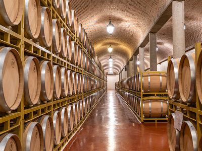 Entre copas por la Ribera del Duero: visita a bodega con D.O. y cata para 2 personas