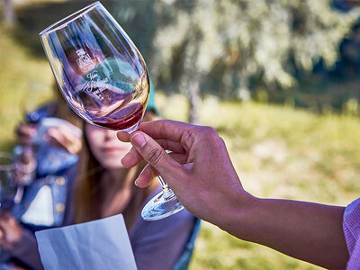 Caja Entre copas por la Ribera del Duero: visita a bodega con D.O. y cata para 2 personas