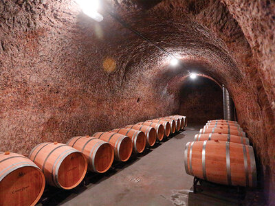 Visita a bodega D.O. Rueda, en Valladolid, y cata de vinos para 2 personas