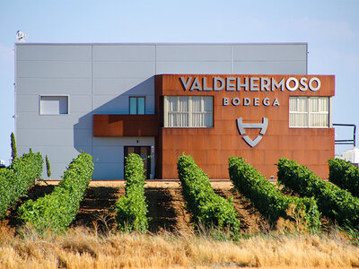 Caja regalo Visita a bodega D.O. Rueda, en Valladolid, y cata de vinos para 2 personas
