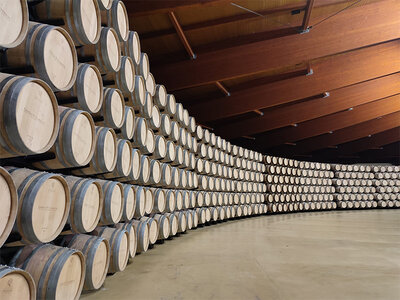 Caja Bodega Viña Arnáiz, D.O. Ribera del Duero: visita a bodega y cata