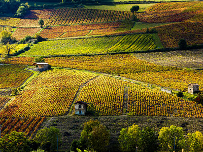 Coffret cadeau Vol en montgolfière pour 2 personnes au-dessus du Beaujolais le matin en semaine