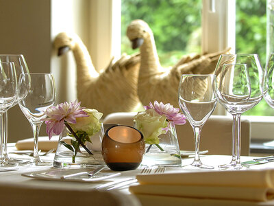 Tables d’exception : repas gastronomique 4 plats au restaurant Vivendum dans le Limbourg