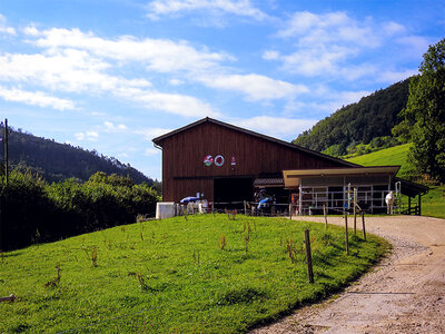 Coffret cadeau 1 nuit insolite sur la paille dans une grange à Langenbruck pour 2 adultes et 2 enfants