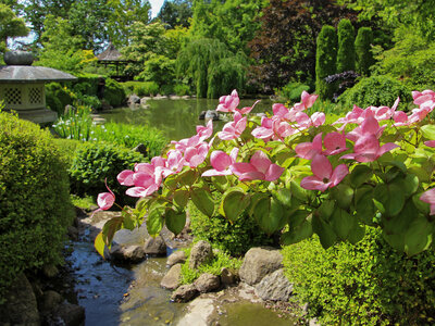 Indgang til Birkegårdens Haver for 1