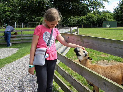 Gaveæske Indgang til Birkegårdens Haver for 1