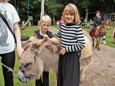 Gaveæske Indgang til Birkegårdens Haver for 2