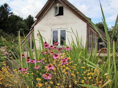 Boks Indgang til Birkegårdens Haver for 2