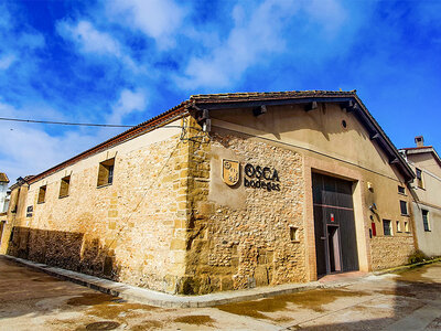 Caja Bodegas Osca, Huesca: visita a bodega y cata de vinos para 2 personas