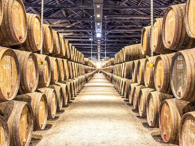 Bodegas Osca, Huesca: visita a bodega y cata de vinos para 2 personas