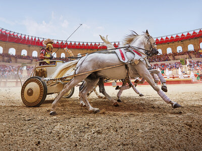 Une journée au Puy du Fou en 2025 pour 2 adultes