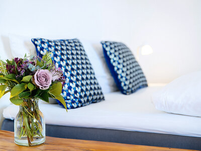 Premium ophold med vin på Palads Hotel Viborg (højsæson) for 2