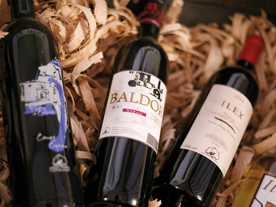 Caja regalo Bodegas y Viñedos Castiblanque, Ciudad Real: visita a bodega, cata y maridaje de 3 vinos