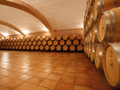 Caja Bodegas y Viñedos Castiblanque, Ciudad Real: visita a bodega, cata y maridaje de 3 vinos