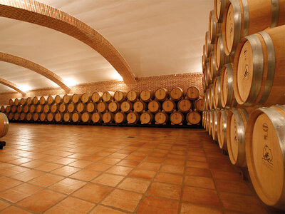 Caja regalo Bodegas y Viñedos Castiblanque, Ciudad Real: visita a bodega, cata y maridaje de 4 vinos