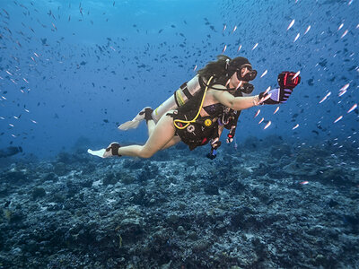 Bono regalo de 80 € para canjear por 1 bautismo de buceo de 4h para 1 persona