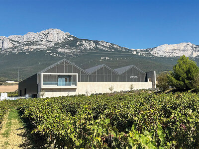 Caja regalo Bodegas Zintzo, D.O. Rioja Alavesa: visita a bodega y cata de vinos