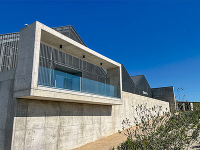 Caja Bodegas Zintzo, D.O. Rioja Alavesa: visita a bodega y cata de vinos