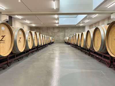 Bodegas Zintzo, D.O. Rioja Alavesa: visita a bodega y cata de vinos