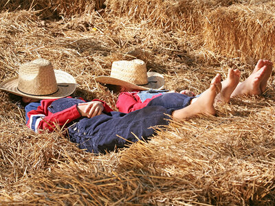 Cofanetto Insoliti soggiorni a contatto con la natura