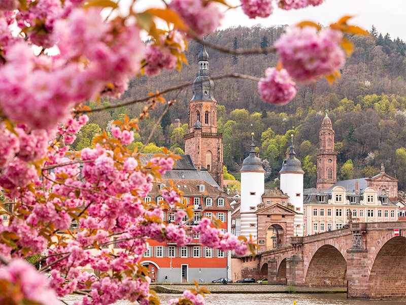 Geschenkbox 1,5-stündige geschichtsträchtige Altstadttour durch Heidelberg