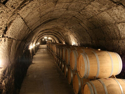 Caja Bodegas Ismael Arroyo - ValSotillo, D.O. Ribera del Duero: visita y cata de 3 vinos