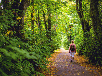 Cofanetto Insolito soggiorno di 2 notti in una Roulotte Gitana con Champagne nel Canton Berna