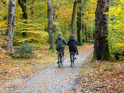 Insolito soggiorno di 2 notti in una Roulotte Gitana con Champagne nel Canton Berna