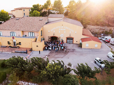 Coffret cadeau Dégustation et découverte viticole dans un domaine d'exception près de Toulon pour 2 personnes