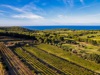 Dégustation et découverte viticole dans un domaine d'exception près de Toulon pour 2 personnes
