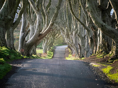 Box 3 irische Tage in Belfast mit Entdeckungstour zu den Game of Thrones®-Drehorten