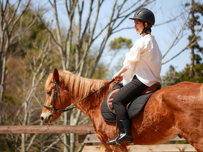 Julegavekort til mor - 249 kr.