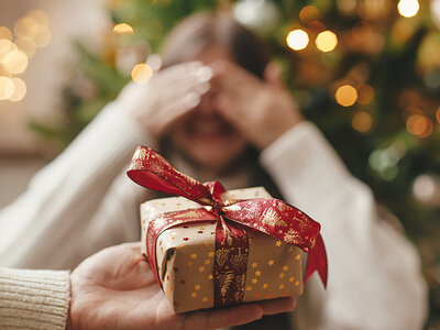 Geschenkbox Frohe Weihnachten - Geschenk für die Schwester!