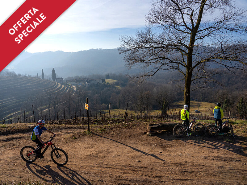 In e-bike tra i vigneti della Lombardia: 2h di tour guidato e degustazione di 4 calici di vino