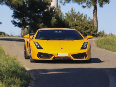 Ruta de 7 km en Lamborghini Gallardo en Navarra para 1 persona