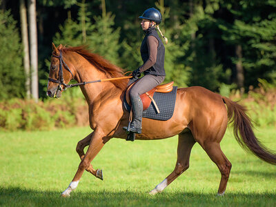 Tarjeta regalo Amigo invisible - 40 €