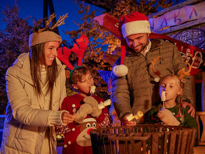 Entrée pour une journée en famille à Bellewaerde Noël