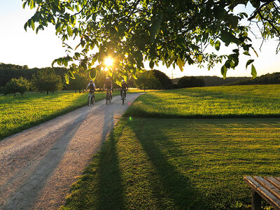 Box After Work Biketour um Basel für 2 Personen