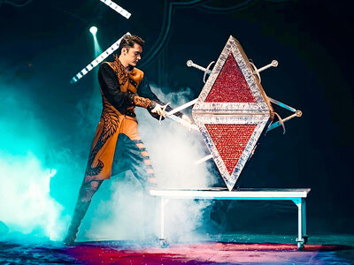 Billetter på terrasse til Cirkus Arena for 2