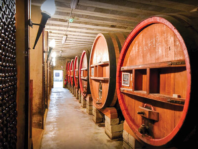 Sélection Châteauneuf-du-Pape : 3 vins de renom livrés à domicile