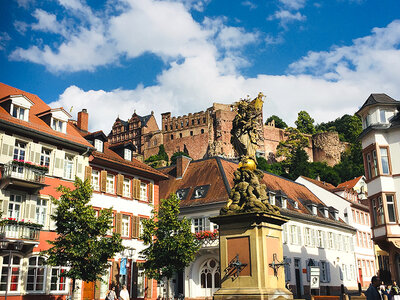 Box Oldtimer-Bus-Tagestour in die Kurpfalz