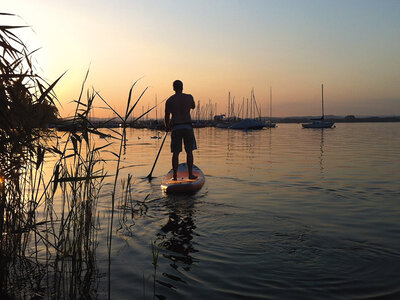 Box 4 Stunden SUP-Verleih auf dem Bodensee für 1
