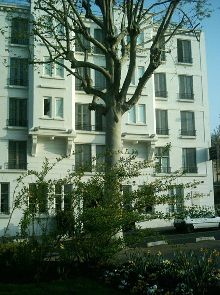 Hôtel de la Jatte 3