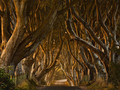 Coffret cadeau 4 jours à Dublin avec visite guidée des lieux emblématiques de Game of Thrones®
