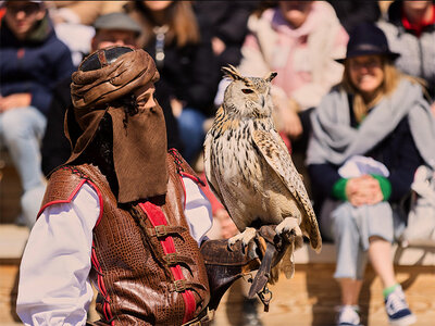 Caja Puy du Fou España: 2 entradas de adulto para 2 días consecutivos