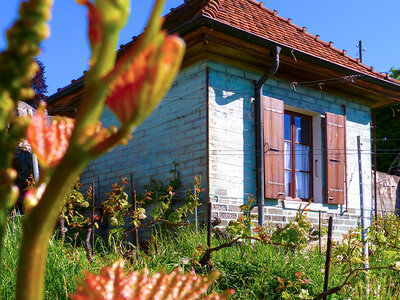 2 Übernachtungen in typischer Capite in den Weinbergen des Lavaux